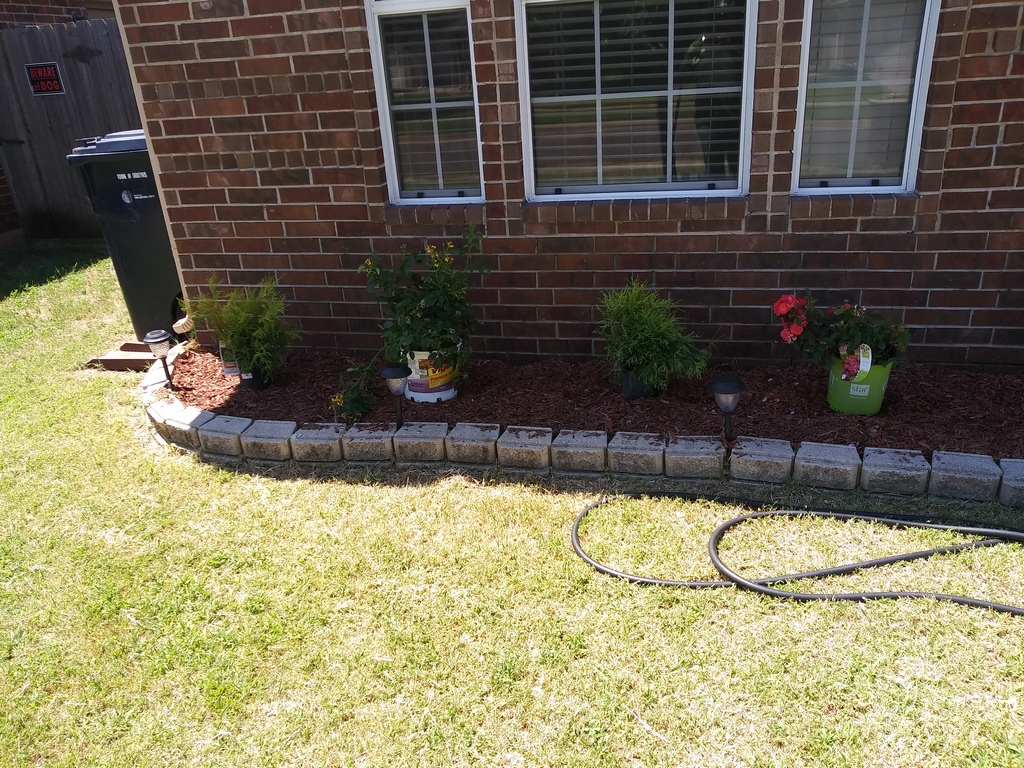 Fall Lawn Care Tips Every Oklahoma City Homeowner Should Follow